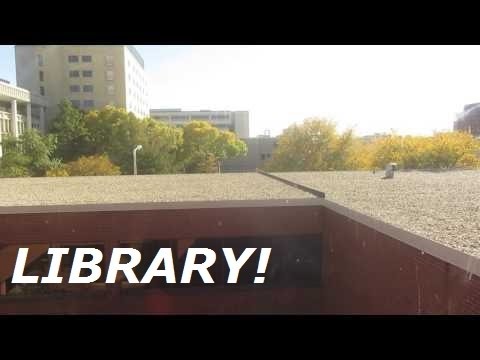 Modded Dover bottom drive? traction elevator at Bennett Martin Library, Lincoln NE