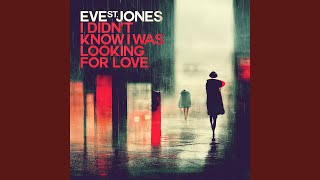 I Didn&#39;t Know I Was Looking for Love (Index Extended Remix)