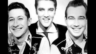 Elvis Presley  - Milkcow Blues Boogie (1955)