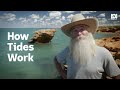 How does the Moon control Earth's tides?  |  Stargazing  |  ABC Science