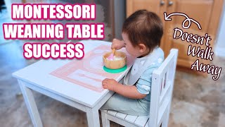 STRESS-FREE WEANING TABLE TRANSITION - How to Set Your Baby Up for Self-Feeding Success