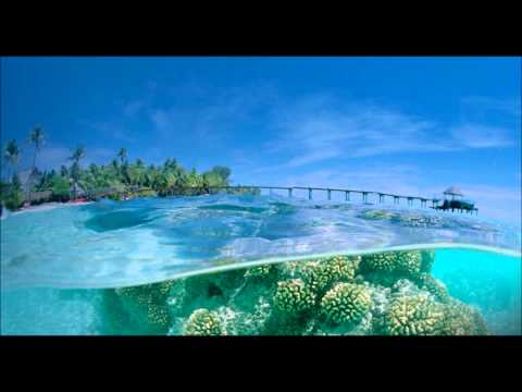 Red Kult Feat  Mike & The Mechanics   Miracle Roman Salzgar Remix