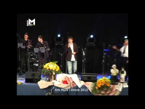 Juraj Galina uz TS Frikovi - Zakaj rado v Međimurje dojdem (festival Kre Mure i Drove, Prelog, 2012)