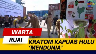 Download lagu KAPUAS HULU KRATOM IS 'GLOBAL' mp3