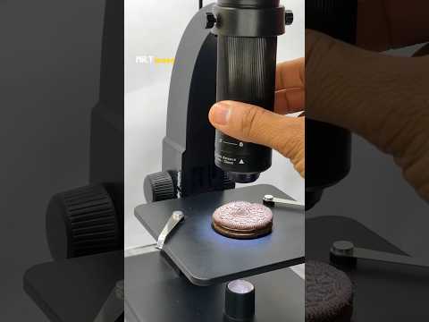 Oreo Biscuit Inside the Microscope #shorts #oreo #microscope #microbiology #microvideo #science