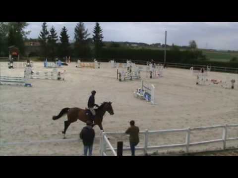 Millfield Bamboozle 5yo Balou du Rouet Nomain