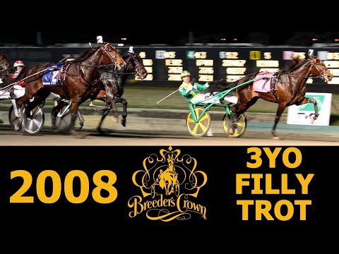 2008 Breeders Crown - Kadealia - 3FT