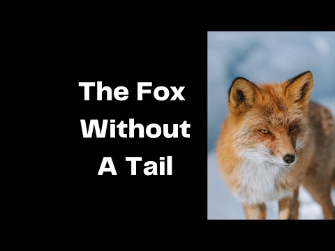 The Fox Without a Tail | Story for students
