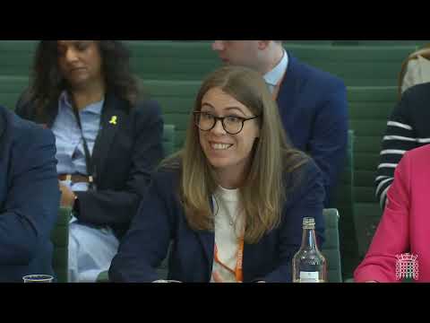 Planning and Infrastructure Bill - Housing Communities Local Gov - Select Committee - 29/04/2025