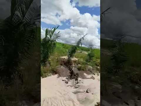 Maranhão são Luís mata Roma Cosme o rio preto no no final do vídeo e tem 12 metros de profundidade