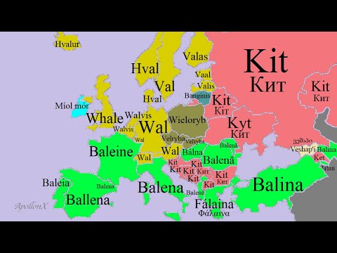 Sea Animals | Fish | European Languages Comparison