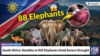 South Africa: Namibia to Kill Elephants Amid Severe Drought