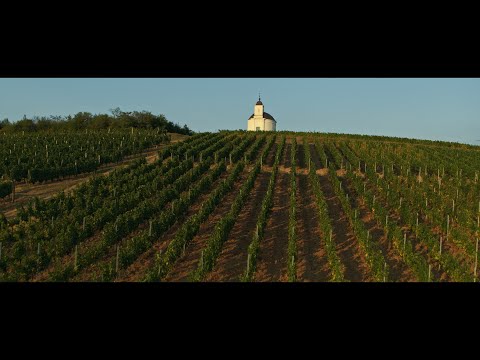 WOW Hungary - Tokaj and Nyíregyháza