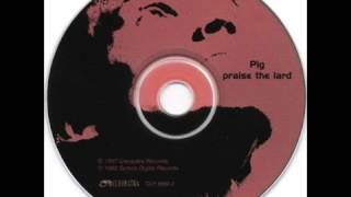 PIG - Angel