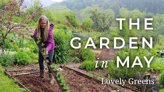 The Garden in May