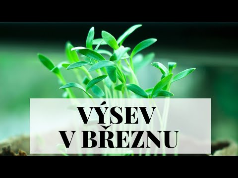 , title : 'Výsev zeleniny v březnu - 30 tipů, co můžeme vysévat ven, do skleníku nebo doma'