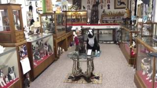 Boston Terrier Museum