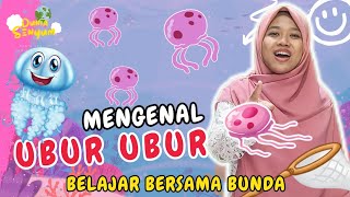 Download lagu Mengenal Ubur-Ubur | Video Belajar Anak Mengenal Hewan | Mengenal Huruf Abjad mp3 Download lagu Mengenal Ubur-Ubur | Video Belajar Anak Mengenal Hewan | Mengenal Huruf Abjad mp3