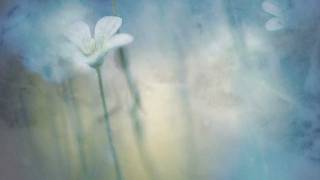 White Dreams - Beatrix Sipos, Jesse Cook  (HD).avi