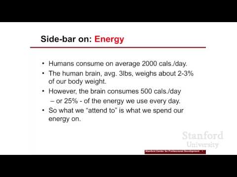 Stanford Webinar - Design Your Life: Part I: Reframe Your Passion