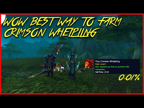 Wow Best Way To Farm Crimson Whelping (Gold Guide)
