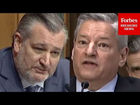 'Are We Right Now On Stolen Land?': Ted Cruz Invokes Billie Eilish When Grilling Ted Sarandos