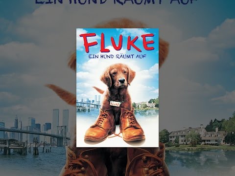 Fluke - Ein Hund räumt auf