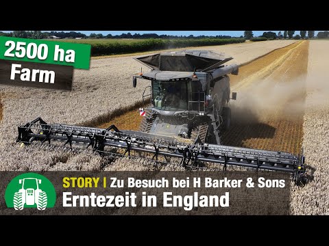 Erntezeit bei H Barker & Sons | Fendt Ideal Mähdrescher | Ackerbau