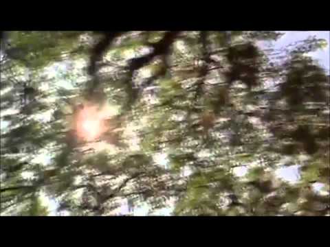 ΤΟΝ ΕΛΕΓΧΟ ΧΑΝΩ NEVMA FEAT ΜΑΡΙΑ ΜΑΚΡΗ