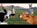 FUNNY COW DANCE 4 | Cow Song & Cow Videos 2024 | Cow dance mix funny | funny dancing gay