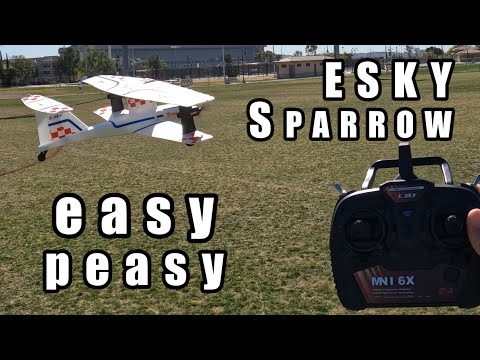 ESKY Sparrow Beginner Biplane EASY TO FLY 🛩️