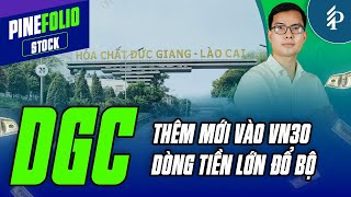 ETF gom mạnh, DGC báo lãi cao nhất 10 quý | Pinefolio
