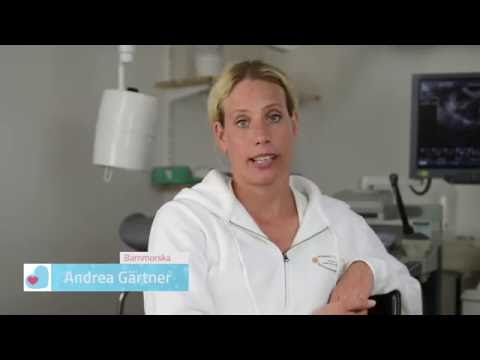 Graviditetsvecka 24 - detta händer när du är gravid i vecka 24