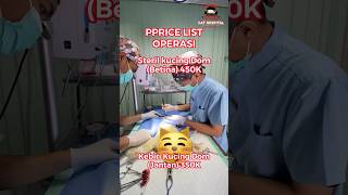 Download lagu Harga Steril & Kebiri Kucing MURAH Batam mp3