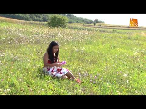 DEBORA ARMAN - Frumos e campul verde