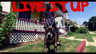 Freezo - Live it up [Official Video]