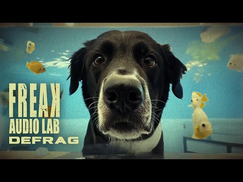 Freak Audio Lab - Defrag