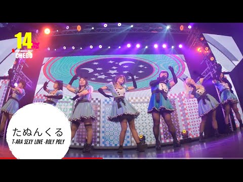 3-1 たぬんくる T-ARA 티아라 Sexy Love - Roly Poly 【ちぇご14】Kpop Dance Cover Event Chego 커버 댄스