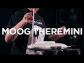 Moog Theremini thumbnail 5