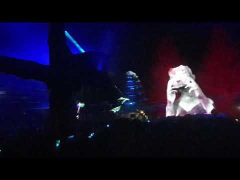 MO:DEM 2019, The Swamp