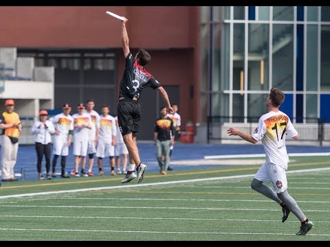 Player of the Week: Andrew Carroll — Week 12