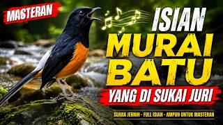 Download lagu 🔥 Masteran Murai Batu Full Tembakan Super Gacor | Pancingan Ampuh Buka Paruh | Suara Jernih HD mp3 Download lagu 🔥 Masteran Murai Batu Full Tembakan Super Gacor | Pancingan Ampuh Buka Paruh | Suara Jernih HD mp3