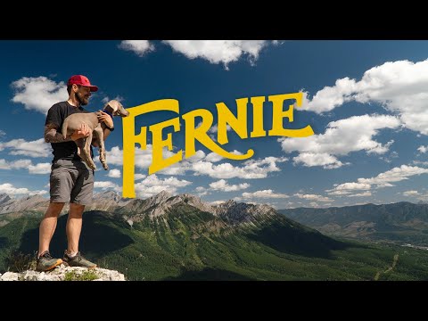 Life With Koda (Episode 5) - I love you Fernie. Weimaraner's adventure in the Kootneys.