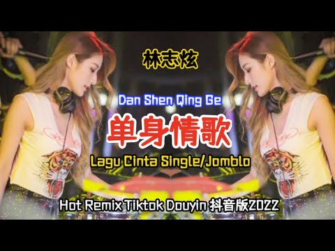 林志炫 -  单身情歌 Dan Shen Qing Ge【Lagu Cinta Single/ Single's Love Song】Hot Remix Tiktok Douyin 抖音版2022
