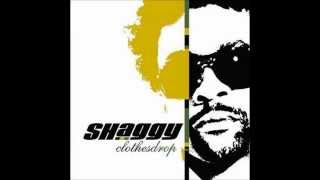 Supa Hypnotic - Shaggy ft Nicole Scherzinger