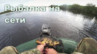 Клев рыбы в миассе на 3 дня