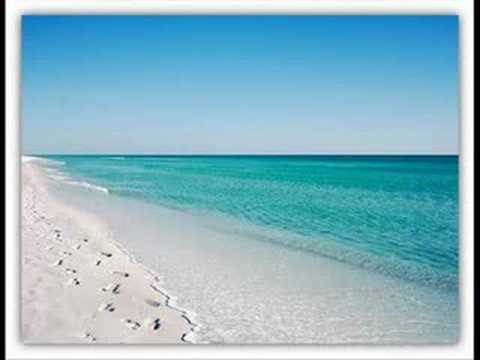 Fred Pellichero - Fuck That ( Dim Chris Remix )