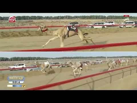 ش 9 (منصح) لـ حمد نهيان بن سالم العامري 9:00:54 ، ختامي المرموم 2026/03/25 إيذاع