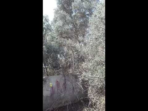 Enjoy Egypt and the world eating health  and earn...etc since 2008 for every.with my working sufferi