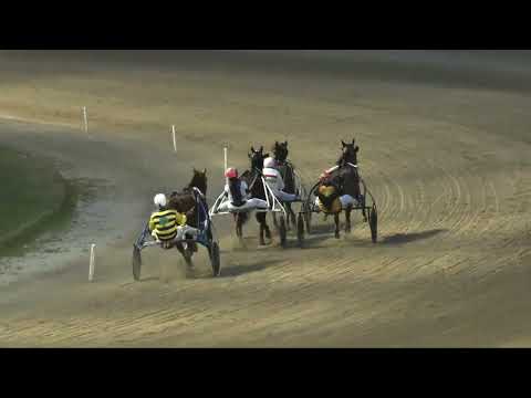 Corsa riservata ai proprietari senza licenza - domenica 11 febbraio 2024